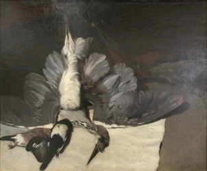 Der Reiher mit ausgebreiteten Flügeln